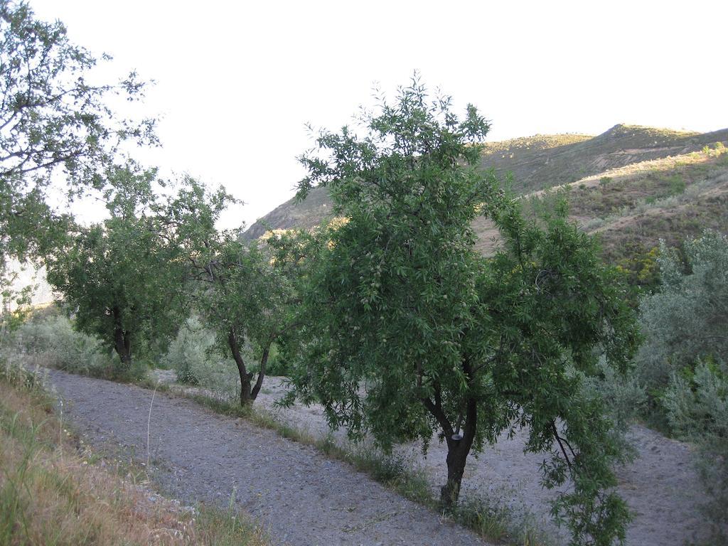 Bancal De Los Perez Каратаунас Экстерьер фото